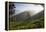 Tea Plantations, Munnar, Western Ghats, Kerala, South India-Peter Adams-Framed Premier Image Canvas