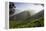 Tea Plantations, Munnar, Western Ghats, Kerala, South India-Peter Adams-Framed Premier Image Canvas