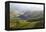 Tea Plantations, Munnar, Western Ghats, Kerala, South India-Peter Adams-Framed Premier Image Canvas