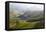 Tea Plantations, Munnar, Western Ghats, Kerala, South India-Peter Adams-Framed Premier Image Canvas