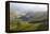 Tea Plantations, Munnar, Western Ghats, Kerala, South India-Peter Adams-Framed Premier Image Canvas