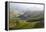 Tea Plantations, Munnar, Western Ghats, Kerala, South India-Peter Adams-Framed Premier Image Canvas