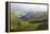 Tea Plantations, Munnar, Western Ghats, Kerala, South India-Peter Adams-Framed Premier Image Canvas