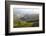 Tea Plantations, Munnar, Western Ghats, Kerala, South India-Peter Adams-Framed Photographic Print