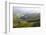 Tea Plantations, Munnar, Western Ghats, Kerala, South India-Peter Adams-Framed Photographic Print