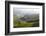 Tea Plantations, Munnar, Western Ghats, Kerala, South India-Peter Adams-Framed Photographic Print