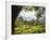 Tea Plantations Near Munnar, Kerala, India, South Asia-Ben Pipe-Framed Photographic Print