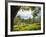 Tea Plantations Near Munnar, Kerala, India, South Asia-Ben Pipe-Framed Photographic Print