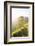 Tea Plantations Near Munnar, Kerala, India, South Asia-Ben Pipe-Framed Photographic Print