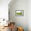 Tea Plantations-Liang Zhang-Framed Photographic Print displayed on a wall