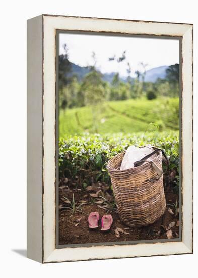 Tea Pluckers Basket and Shoes at a Tea Plantation-Matthew Williams-Ellis-Framed Premier Image Canvas