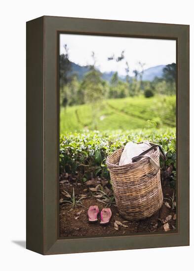 Tea Pluckers Basket and Shoes at a Tea Plantation-Matthew Williams-Ellis-Framed Premier Image Canvas