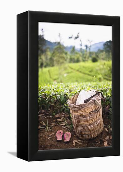 Tea Pluckers Basket and Shoes at a Tea Plantation-Matthew Williams-Ellis-Framed Premier Image Canvas