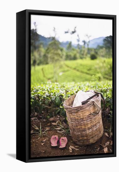 Tea Pluckers Basket and Shoes at a Tea Plantation-Matthew Williams-Ellis-Framed Premier Image Canvas