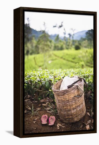 Tea Pluckers Basket and Shoes at a Tea Plantation-Matthew Williams-Ellis-Framed Premier Image Canvas