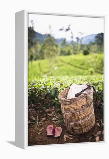 Tea Pluckers Basket and Shoes at a Tea Plantation-Matthew Williams-Ellis-Framed Premier Image Canvas