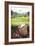 Tea Pluckers Basket and Shoes at a Tea Plantation-Matthew Williams-Ellis-Framed Photographic Print