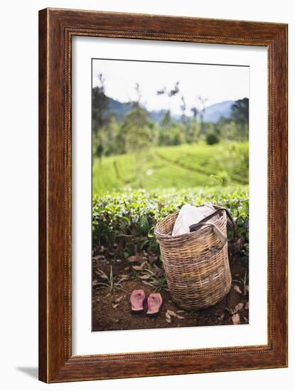 Tea Pluckers Basket and Shoes at a Tea Plantation-Matthew Williams-Ellis-Framed Photographic Print