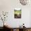 Tea Pluckers Basket and Shoes at a Tea Plantation-Matthew Williams-Ellis-Photographic Print displayed on a wall