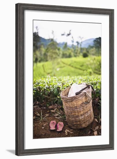 Tea Pluckers Basket and Shoes at a Tea Plantation-Matthew Williams-Ellis-Framed Photographic Print