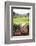 Tea Pluckers Basket and Shoes at a Tea Plantation-Matthew Williams-Ellis-Framed Photographic Print