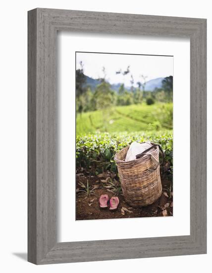 Tea Pluckers Basket and Shoes at a Tea Plantation-Matthew Williams-Ellis-Framed Photographic Print