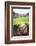 Tea Pluckers Basket and Shoes at a Tea Plantation-Matthew Williams-Ellis-Framed Photographic Print