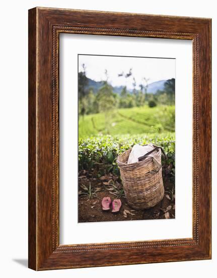 Tea Pluckers Basket and Shoes at a Tea Plantation-Matthew Williams-Ellis-Framed Photographic Print