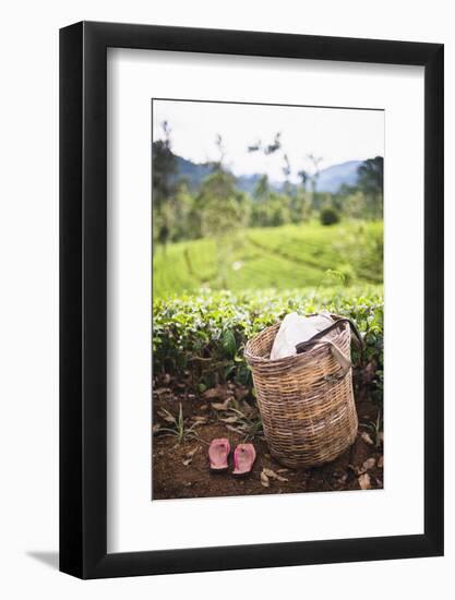 Tea Pluckers Basket and Shoes at a Tea Plantation-Matthew Williams-Ellis-Framed Photographic Print