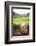 Tea Pluckers Basket and Shoes at a Tea Plantation-Matthew Williams-Ellis-Framed Photographic Print