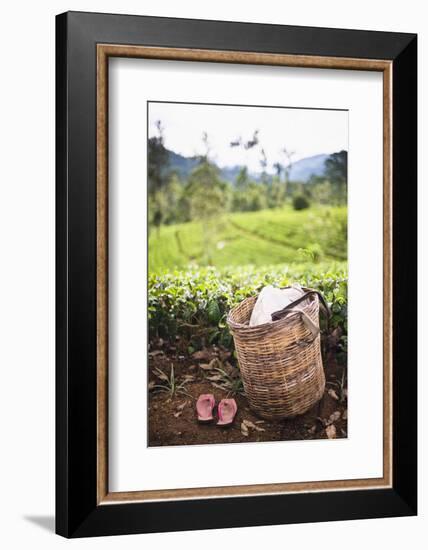 Tea Pluckers Basket and Shoes at a Tea Plantation-Matthew Williams-Ellis-Framed Photographic Print