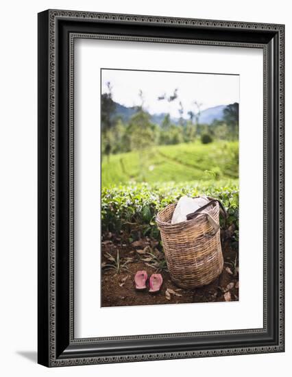Tea Pluckers Basket and Shoes at a Tea Plantation-Matthew Williams-Ellis-Framed Photographic Print