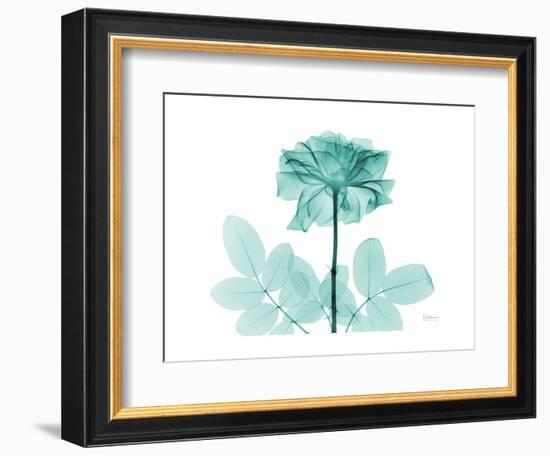 Tea Rose 2-Albert Koetsier-Framed Premium Giclee Print