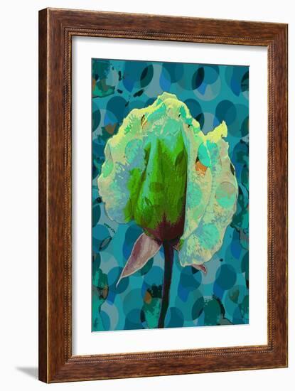 Tea Rose 2-Scott J. Davis-Framed Giclee Print