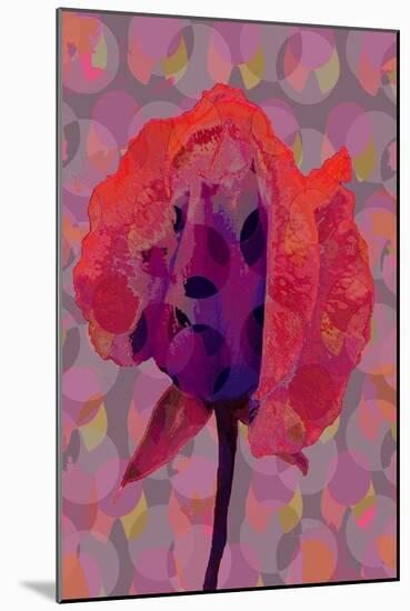 Tea Rose 3-Scott J. Davis-Mounted Giclee Print