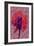 Tea Rose 3-Scott J. Davis-Framed Giclee Print