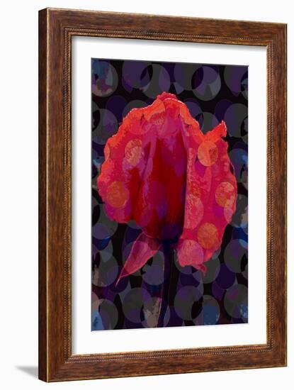 Tea Rose 3B-Scott J. Davis-Framed Giclee Print