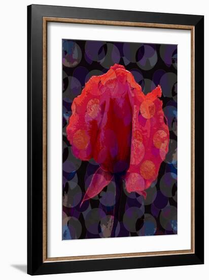 Tea Rose 3B-Scott J. Davis-Framed Giclee Print