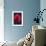 Tea Rose 3B-Scott J. Davis-Framed Giclee Print displayed on a wall