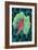 Tea Rose 4-Scott J. Davis-Framed Giclee Print