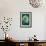 Tea Rose 4-Scott J. Davis-Framed Giclee Print displayed on a wall