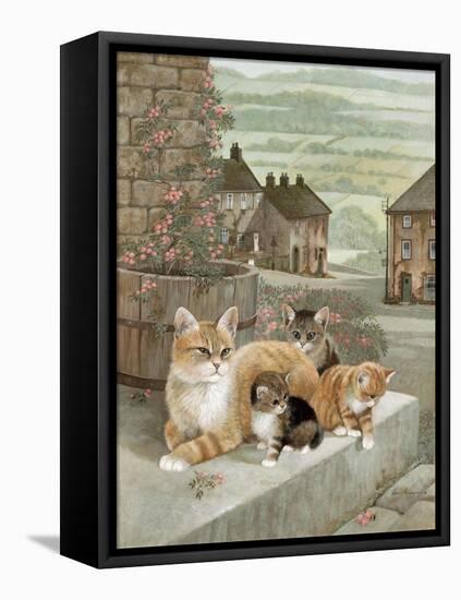 Tea Rose Playtime-Ruane Manning-Framed Stretched Canvas