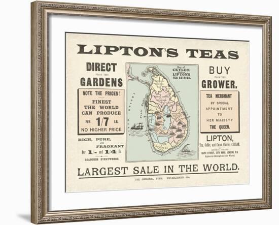 Tea Sale-The Vintage Collection-Framed Giclee Print