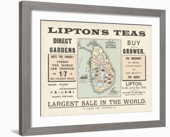 Tea Sale-The Vintage Collection-Framed Giclee Print