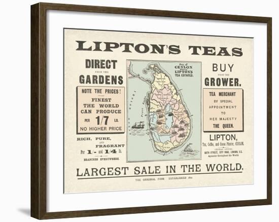 Tea Sale-The Vintage Collection-Framed Giclee Print