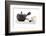 Tea-Fabio Petroni-Framed Photographic Print