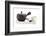 Tea-Fabio Petroni-Framed Photographic Print