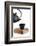 Tea-Fabio Petroni-Framed Photographic Print