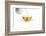 Tea-Fabio Petroni-Framed Photographic Print