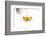 Tea-Fabio Petroni-Framed Photographic Print